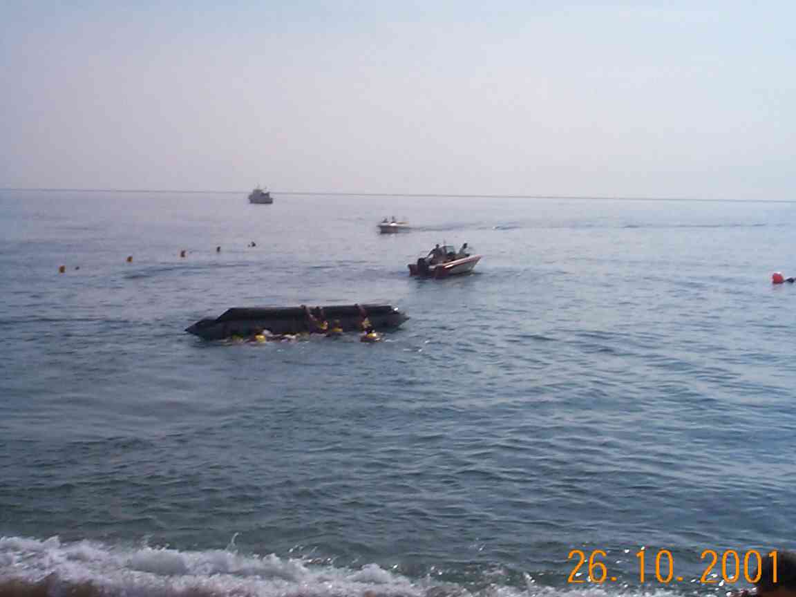 banaan-4.JPG
