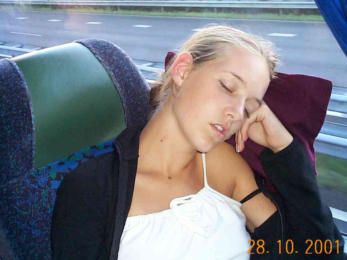 bus-17.JPG