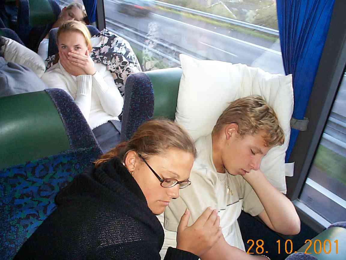 bus-19.JPG
