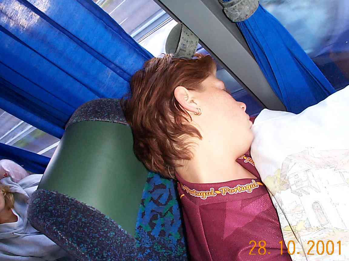 bus-20.JPG