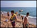 banaan-6.JPG